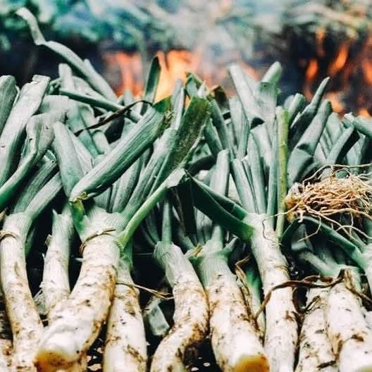 Calçot Electronic — calçotada et DJ sets en Catalogne